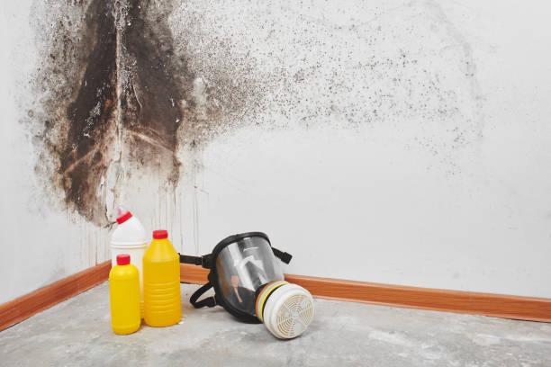 Best Toxic Mold Removal  in Slippery Rock, PA