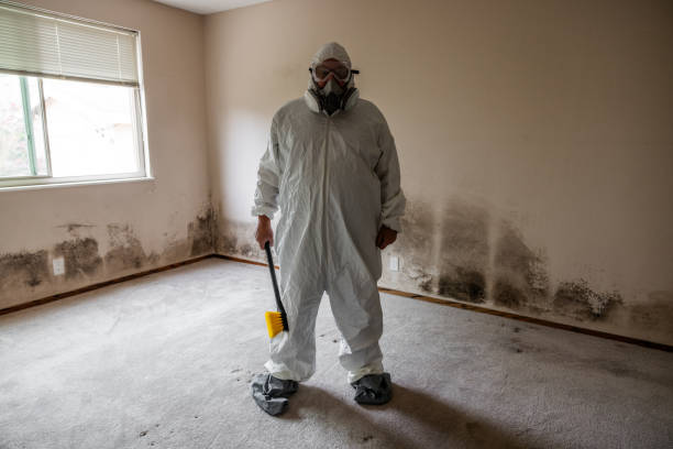 Best Black Mold Removal  in Slippery Rock, PA