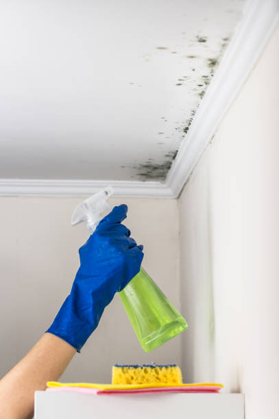 Best Emergency Mold Removal  in Slippery Rock, PA